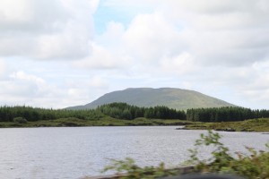 IMG_0768