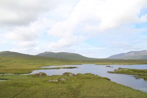 IMG_0773