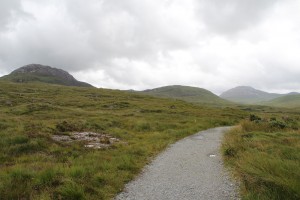 IMG_0795
