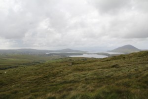IMG_0800