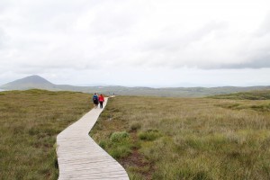 IMG_0805