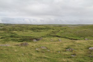 IMG_0873
