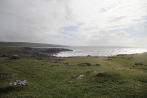 IMG_0926