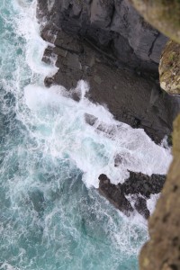 IMG_2601