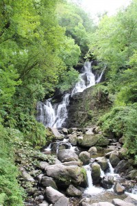 IMG_2797