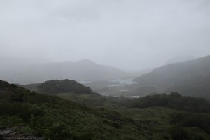 IMG_2805