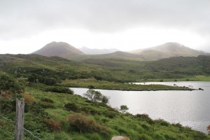 IMG_2811