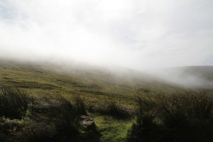 IMG_2870
