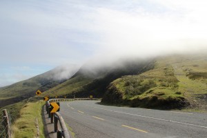 IMG_2874