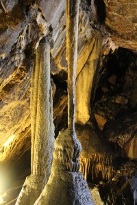 IMG_2957