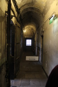 IMG_3001